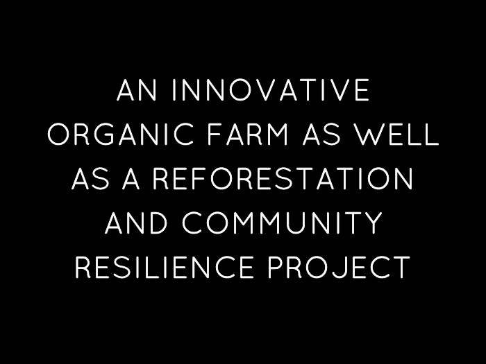 Sinal Do Vale Fact-2